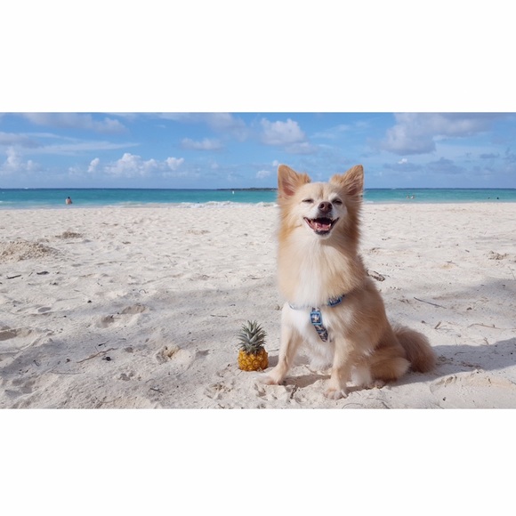 Read Me - Picture 1 of 1